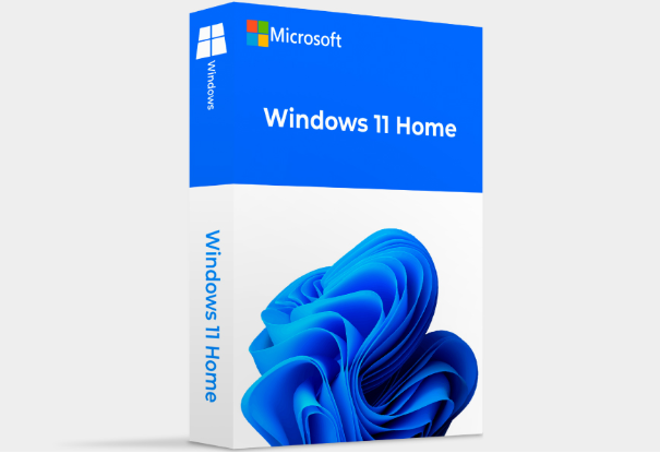 Windows 11 home操作系统.png